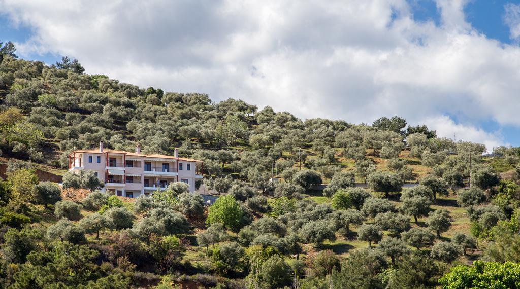 Aphrodite Villas กอยนิรา ภายนอก รูปภาพ