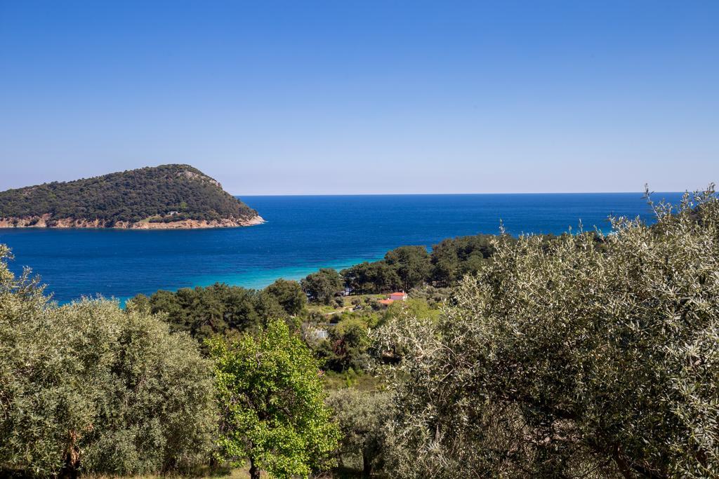 Aphrodite Villas กอยนิรา ภายนอก รูปภาพ
